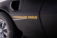 1979 Pontiac firebird Trans Am for sale