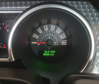 2008 Ford Mustang GT Premium Bullitt for sale