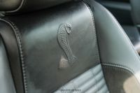 2010 Ford Mustang Shelby GT500 for sale