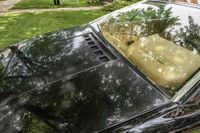 1984 Lotus Esprit Turbo for sale