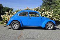 1974 Volkswagen Beetle for sale