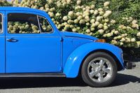 1974 Volkswagen Beetle for sale