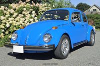 1974 Volkswagen Beetle for sale