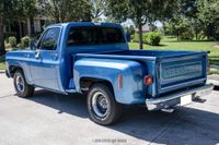 1976 Chevrolet C10 Scottsdale for sale
