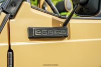 1992 Mercedes-Benz 250GD Wolf for sale