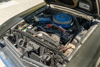 1969 Ford Mustang Shelby GT350H for sale