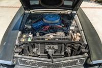 1969 Ford Mustang Shelby GT350H for sale