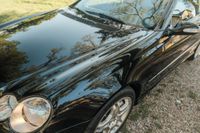 2004 Mercedes-Benz CLK55 AMG Cabriolet for sale