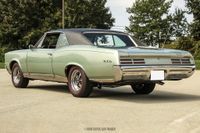 1967 Pontiac GTO for sale