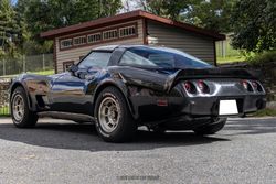 1979 Chevrolet Corvette for sale