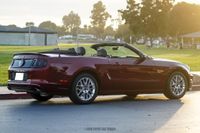 2014 Ford Mustang GT Convertible Premium for sale