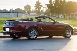 2014 Ford Mustang GT Convertible Premium for sale