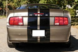 2005 Ford Mustang GT Premium Supercharged for sale
