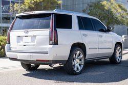 2017 Cadillac Escalade Platinum for sale