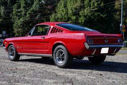 1965 Ford Mustang Fastback for sale