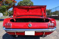 1965 Ford Mustang Fastback for sale