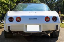 1979 Chevrolet Corvette for sale