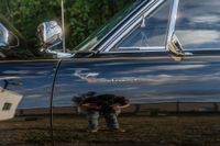 1969 Plymouth Road Runner for sale