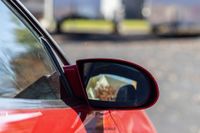 2002 Chevrolet Camaro Z28 SS 35th Anniversary Edition for sale